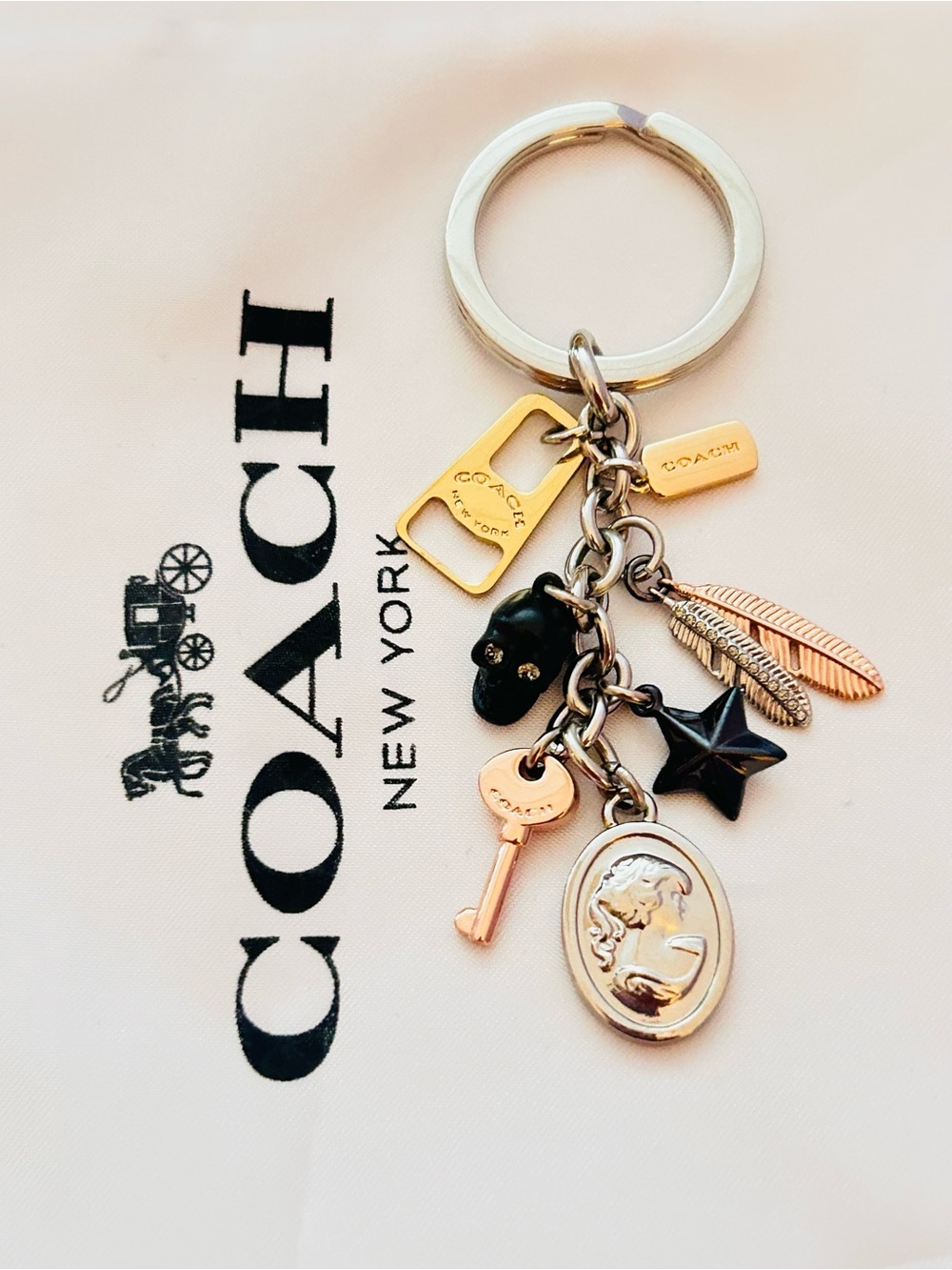 RARE Coach Charm Skull, Feather, Star, Kachain Girl,Key Tag Bag Charm/ Keychain